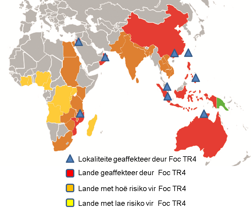 Globale verspreiding van Foc TR4.png