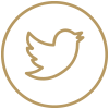 twitter-logo