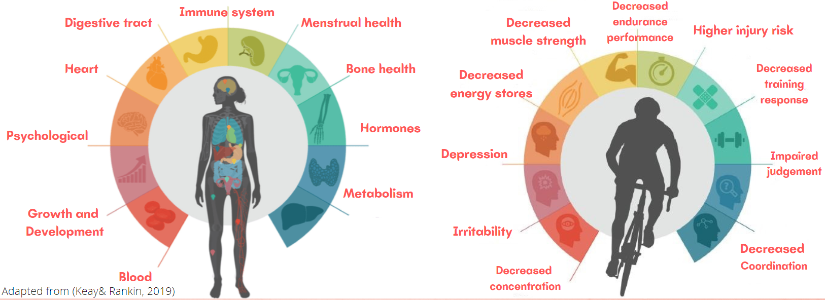 Athlete health.png