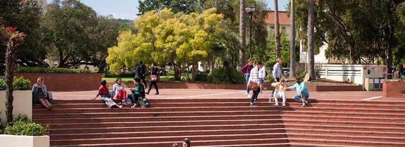 stellenbosch campus