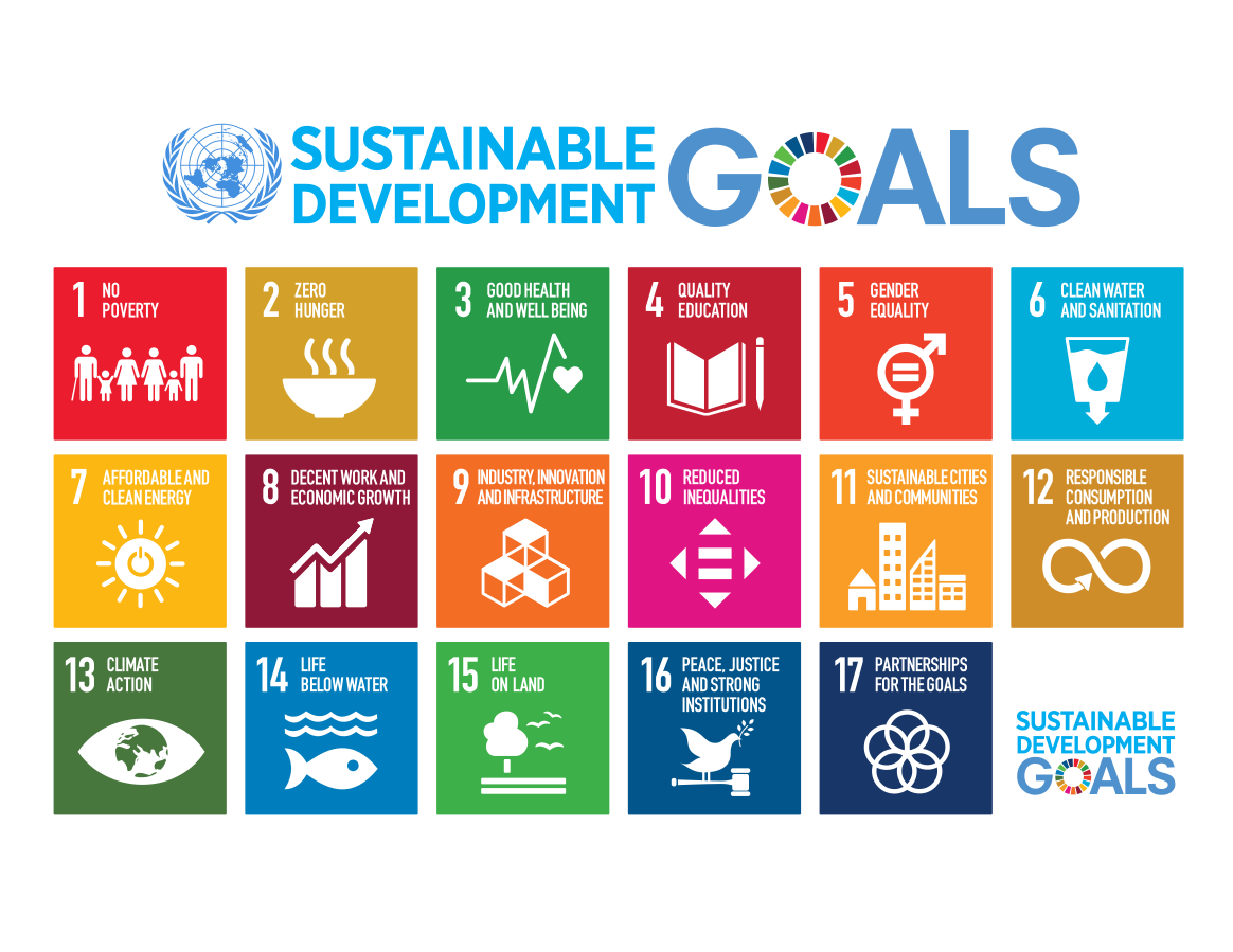 1164px-Sustainable_Development_Goals.svg.png