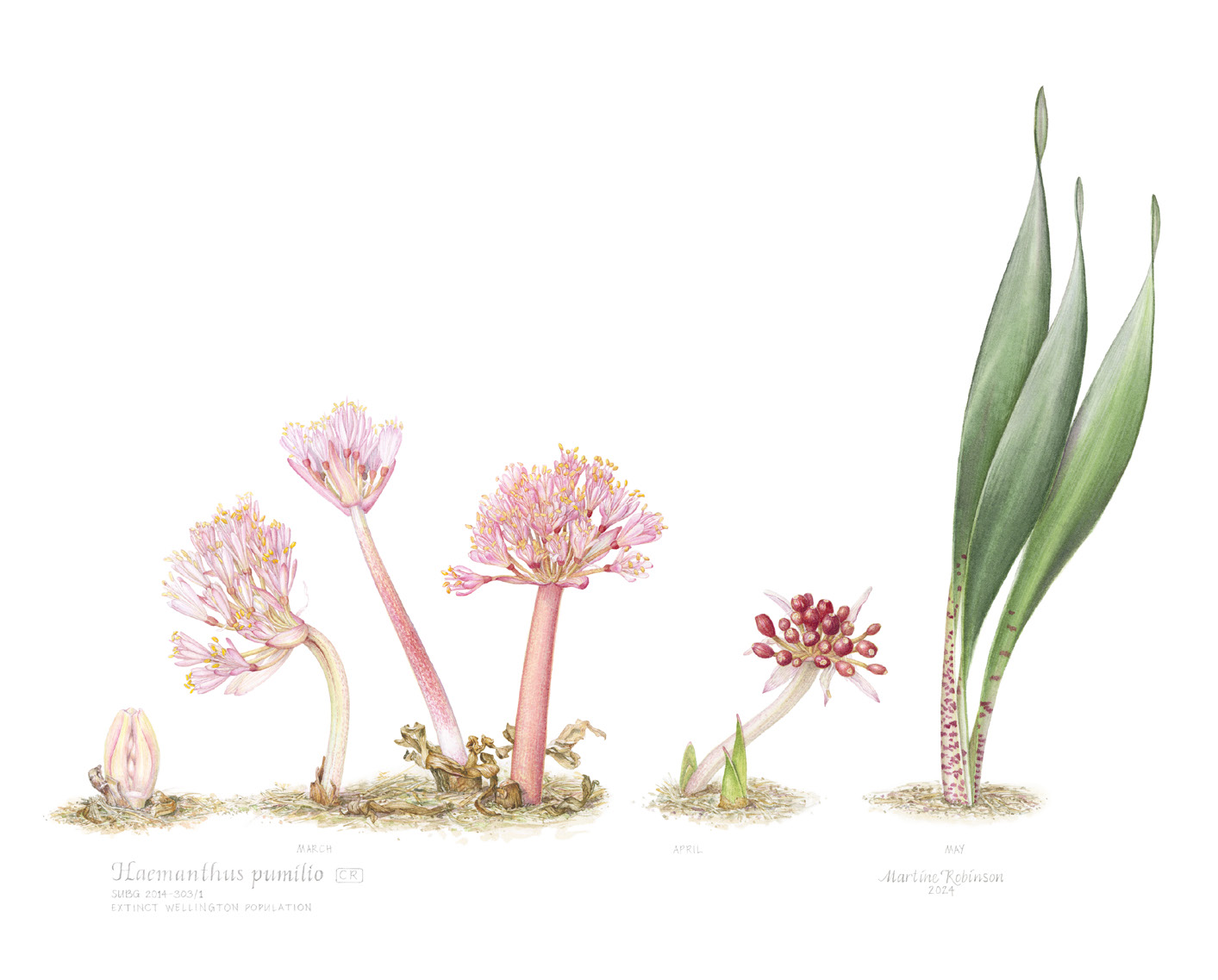 Exhibition Catalogue 2024_FINAL hi res 3_Page_22_Image_0002.jpg