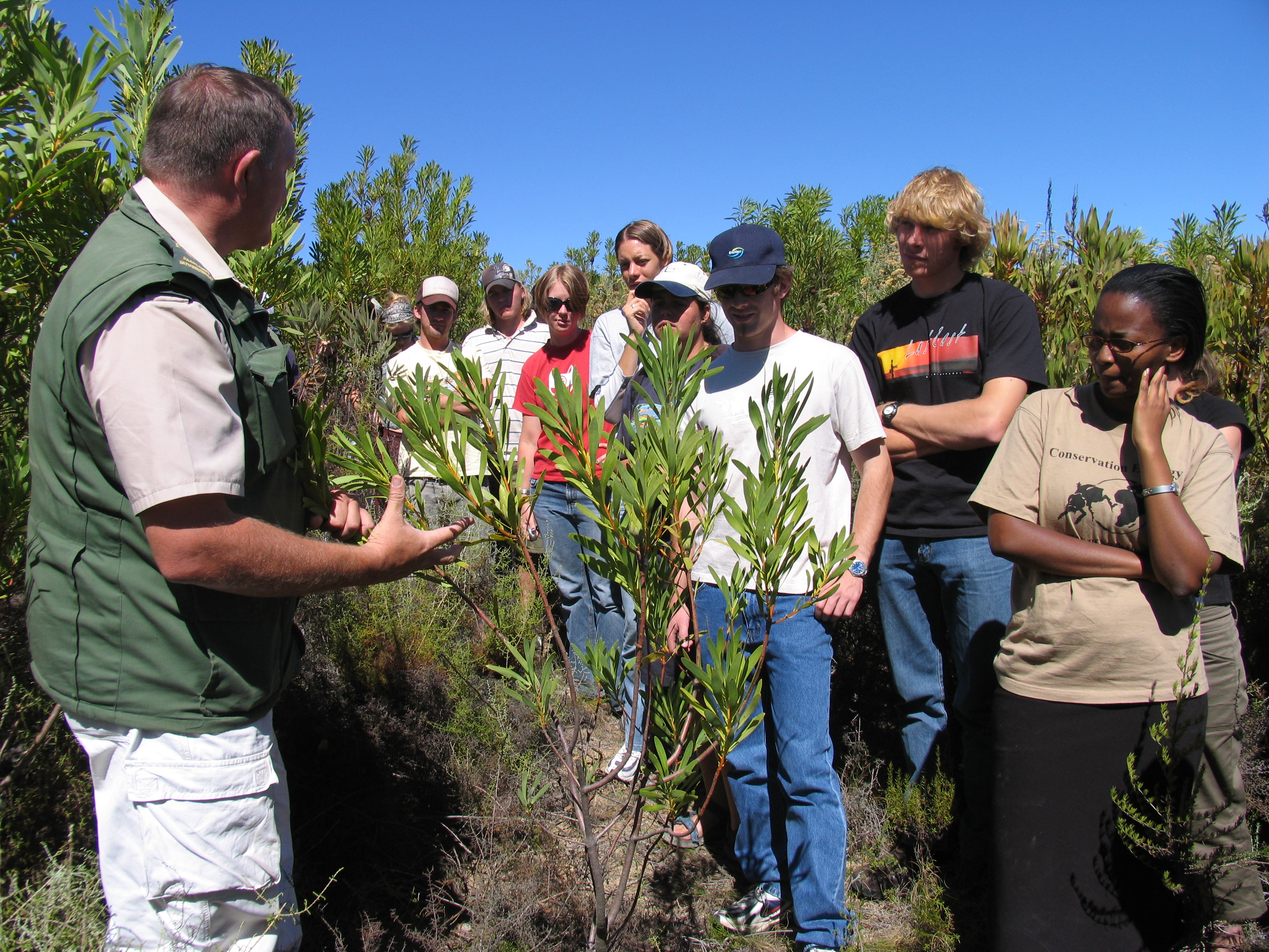 Conservation Ecology