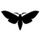 moth silhouette.jpg