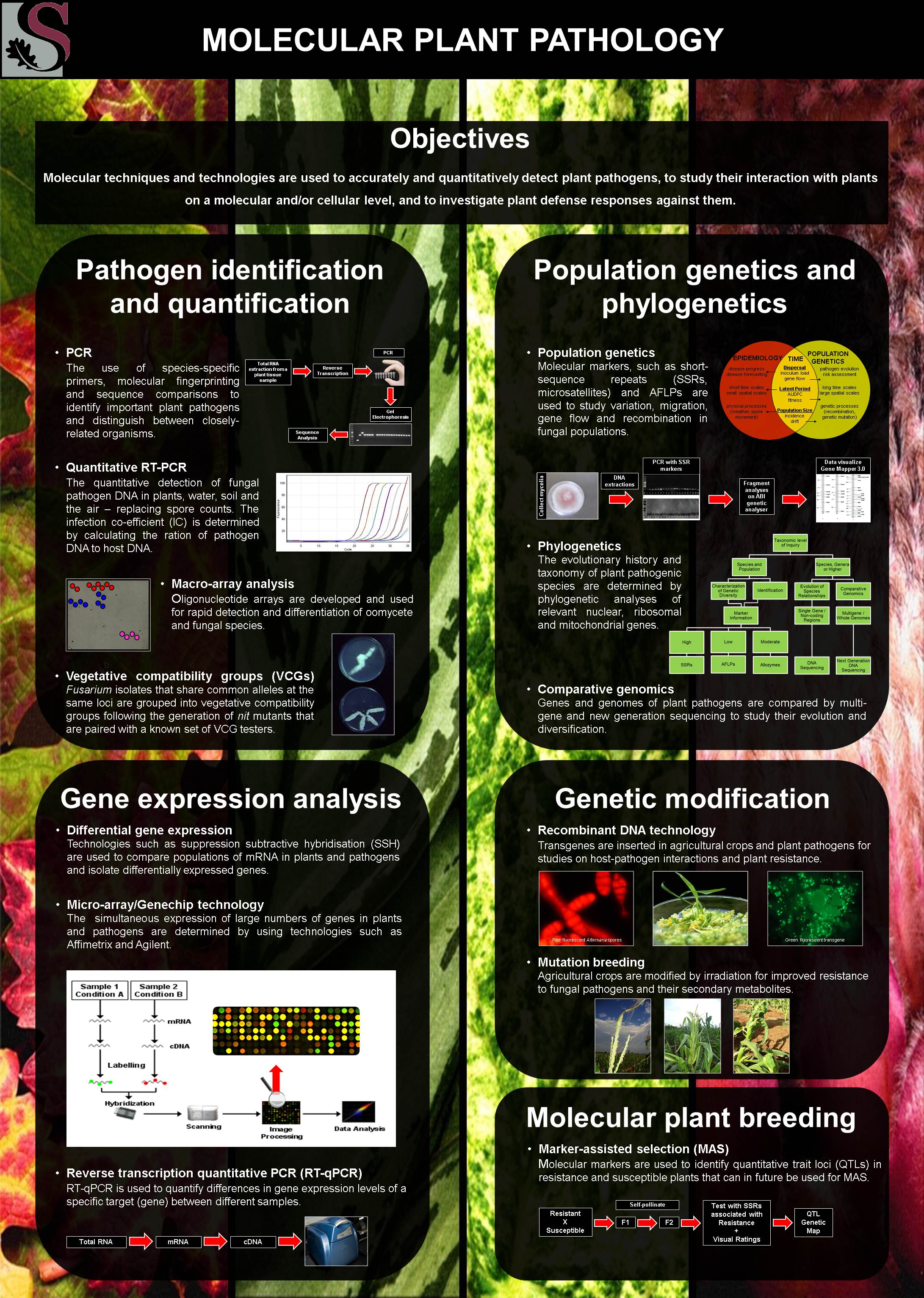 USPP Molecular FINAL.jpg