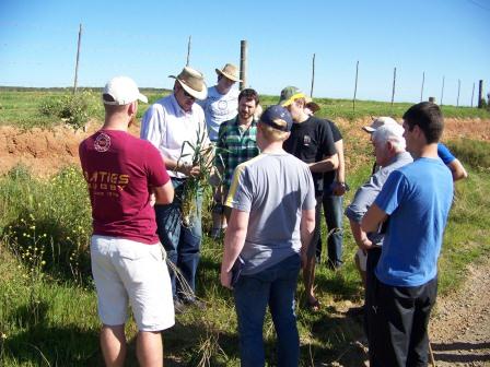 Soil Tour 2011 Overberg students wheat (comp).jpg