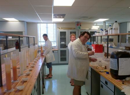 postgrads in lab 2014.jpg