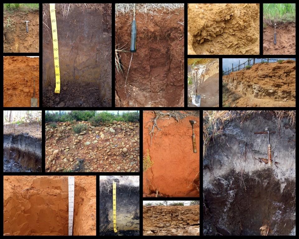 SSSSA Soil Collage 2013 (comp).jpg