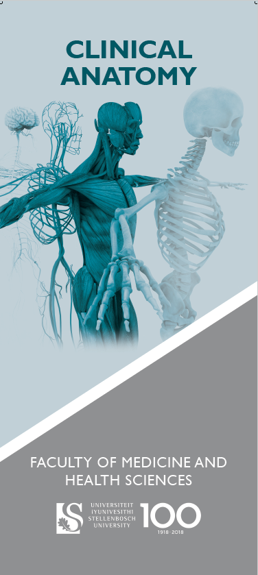 Anatomy banner (2).PNG