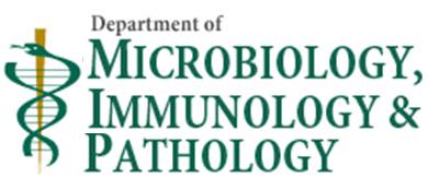 microbiology immunology pathology 02.jpg