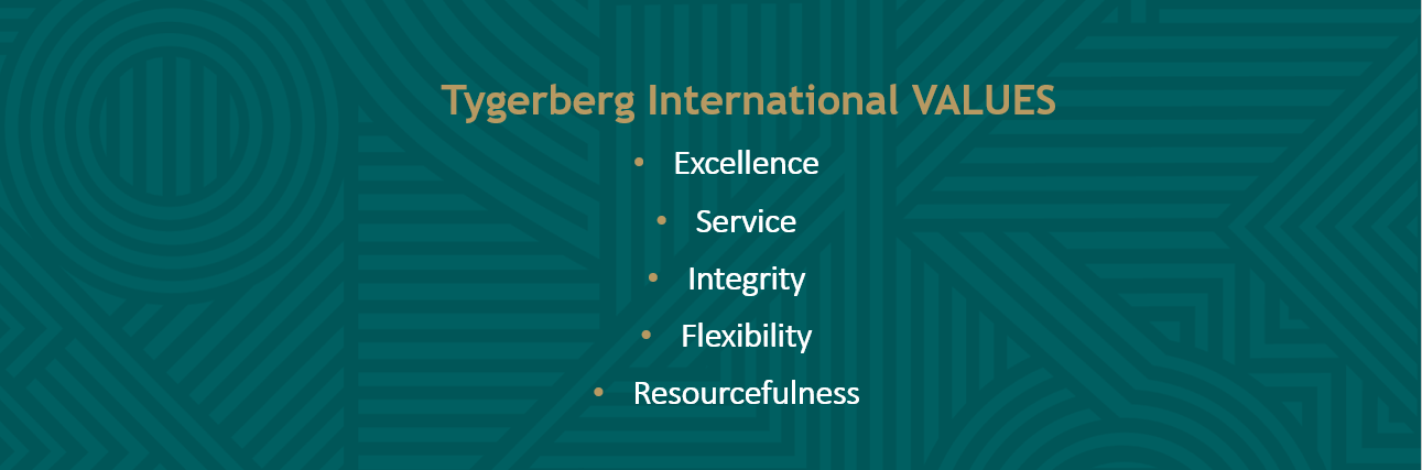 TI VALUES.png