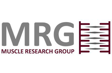MRG_02.jpg