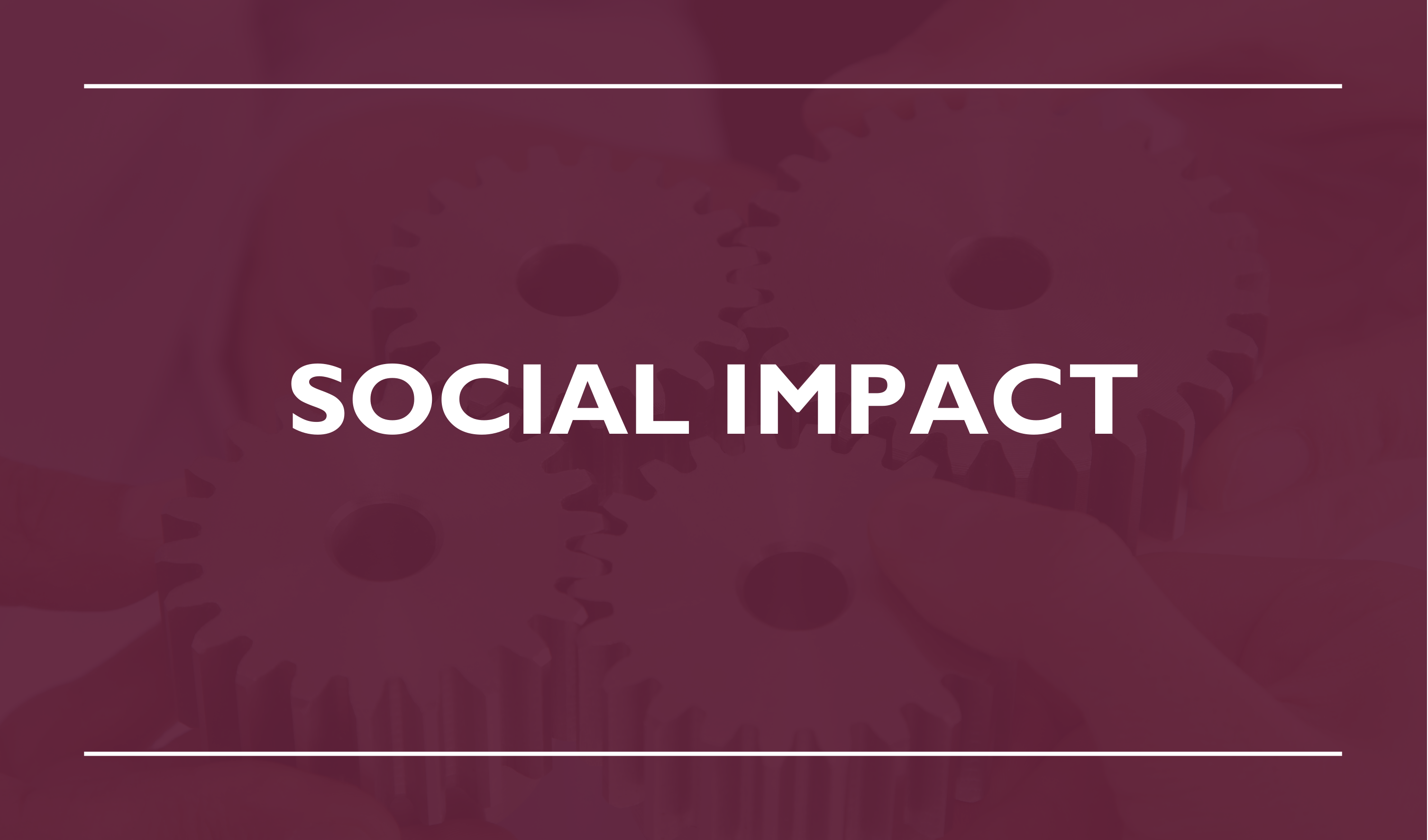 FVZS Partners_Social Impact.png