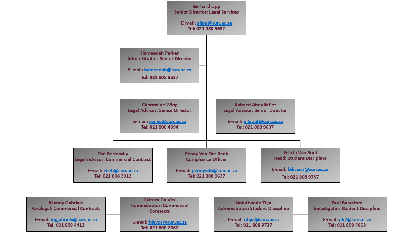 Organogram 2021 english.png