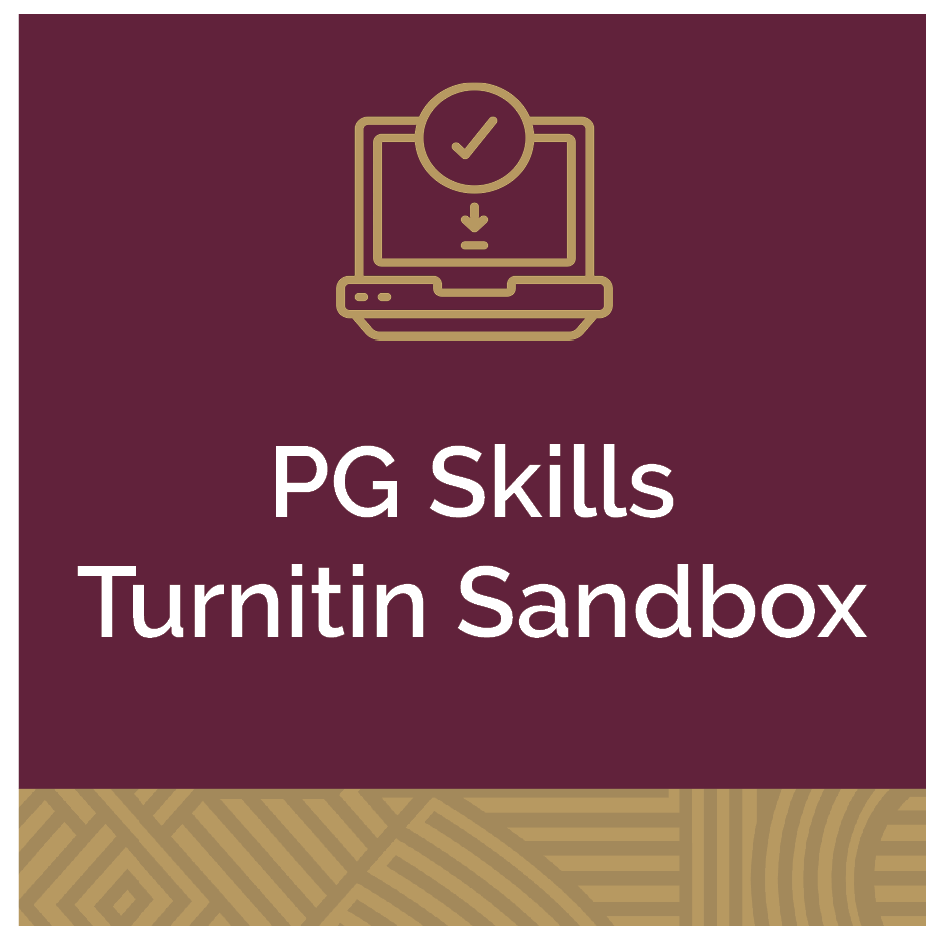 PG Skills Sandboc updated icon resources.png