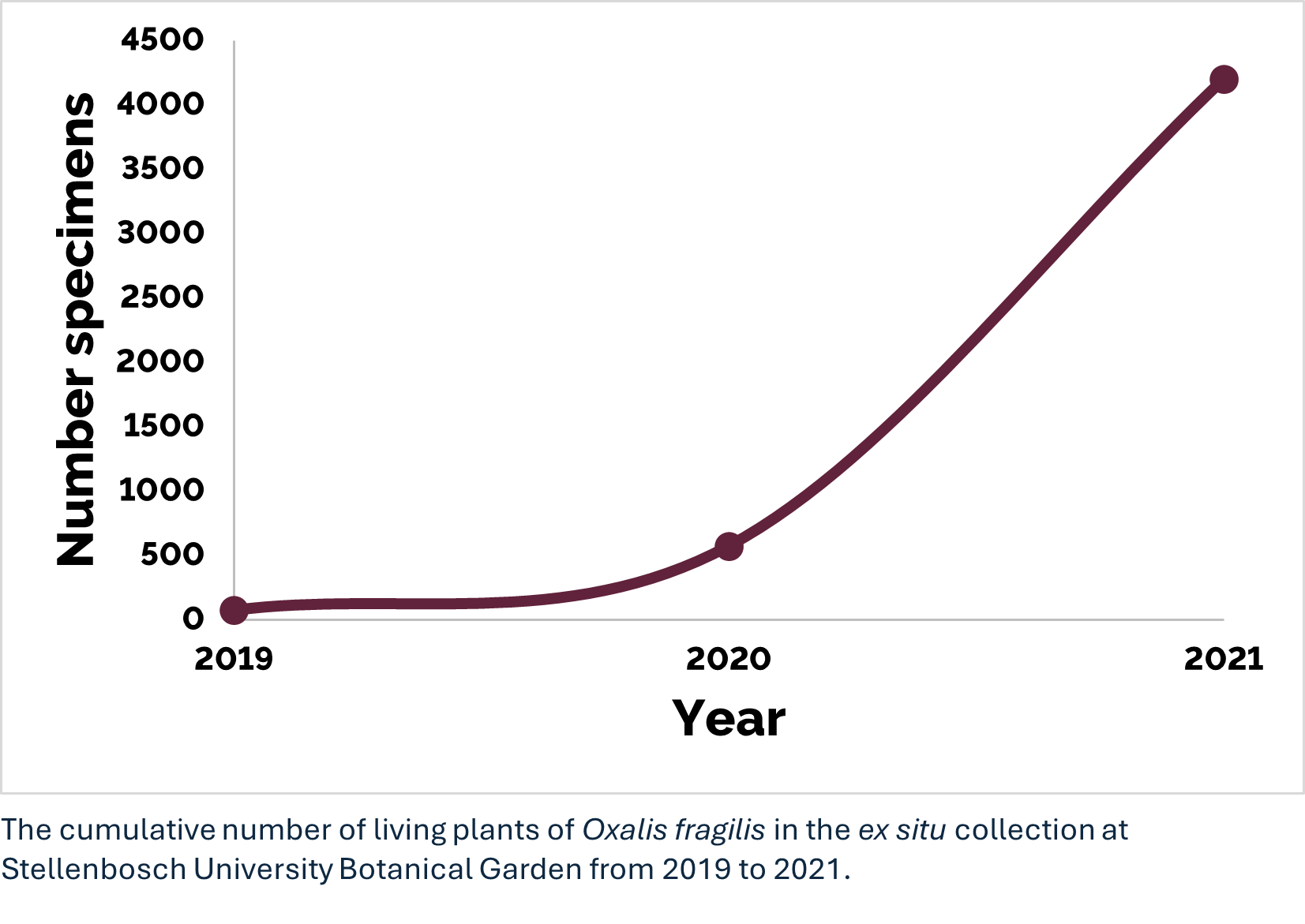 Oxalis fragilis graph 1.png