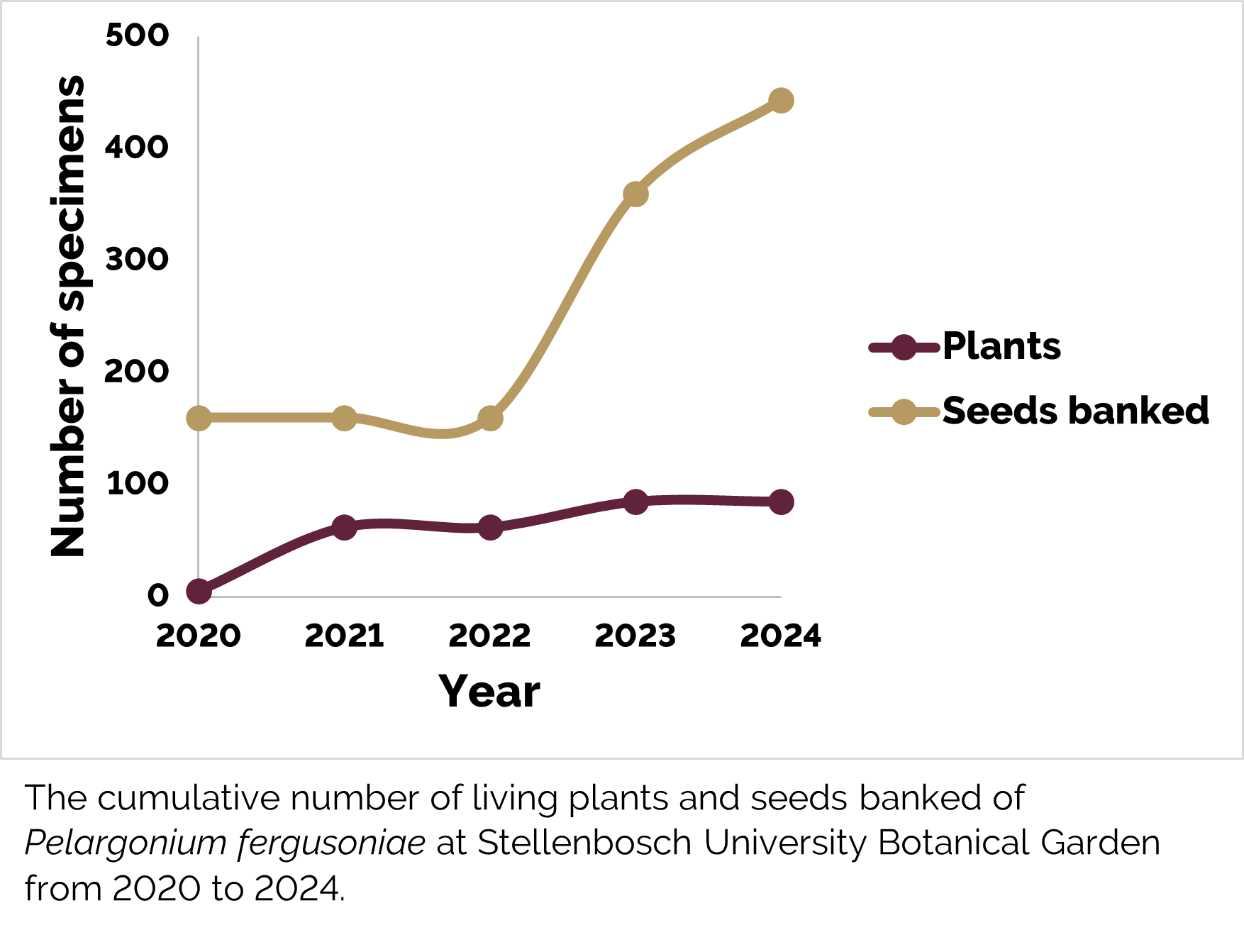 Pelargonium fergusoniae graph.png
