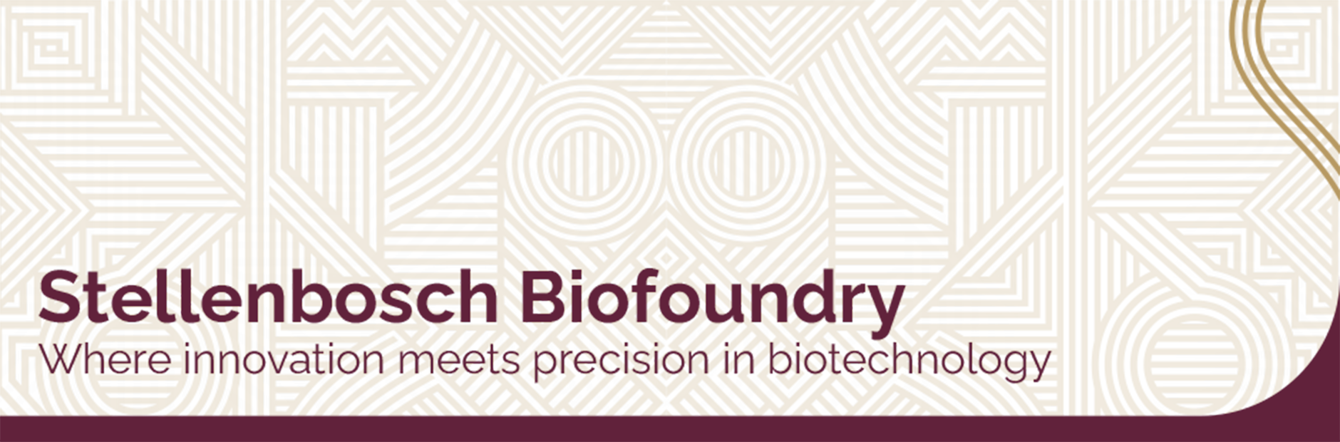 biofoundryBannerAlt.png