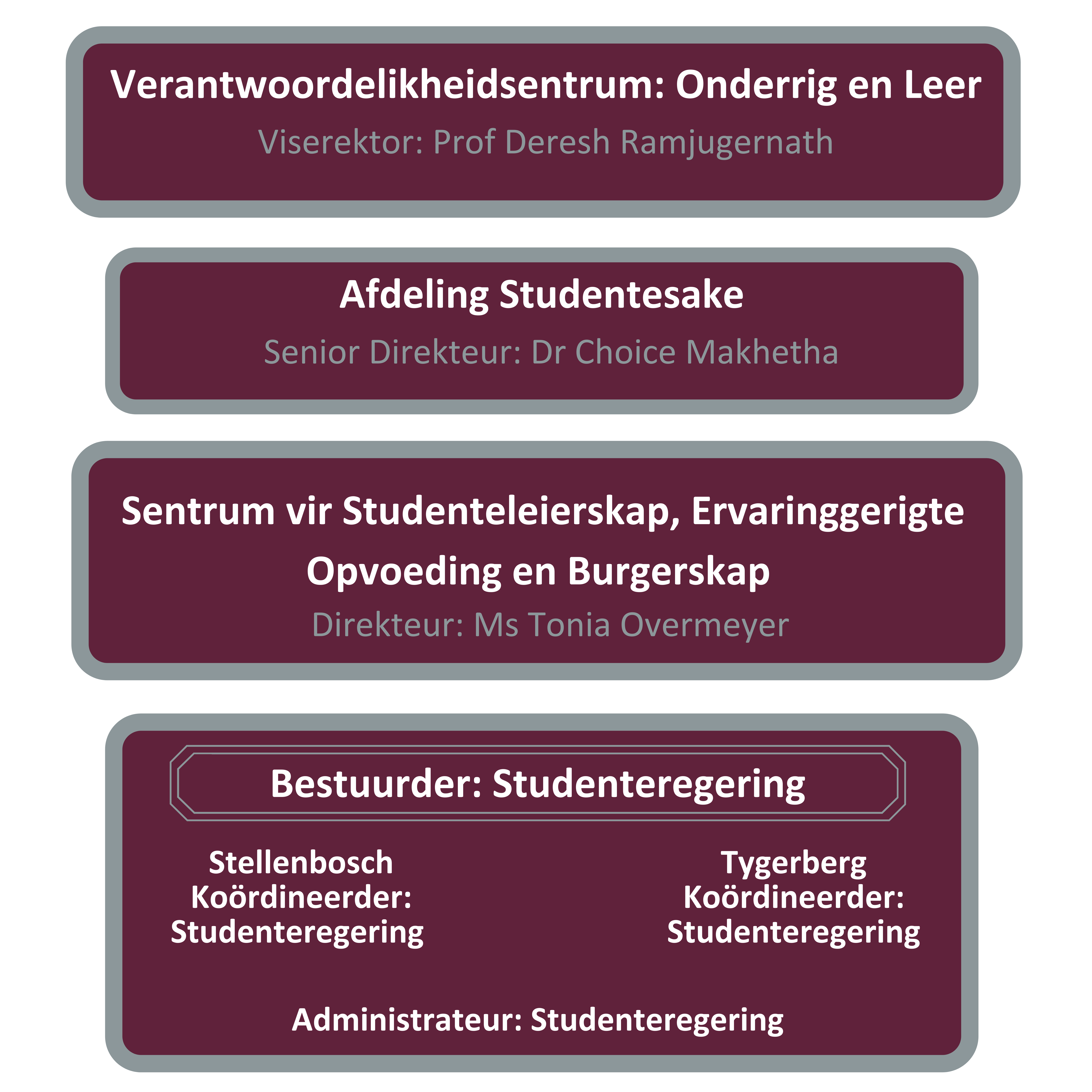 Org Structure SG 2021.png