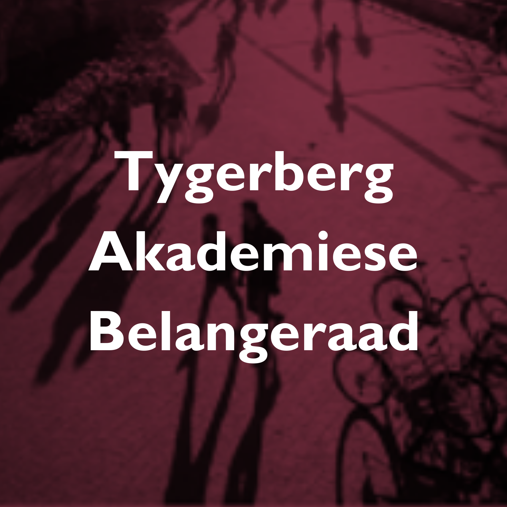 Tygerberg Academic Affairs Council - OSG.png