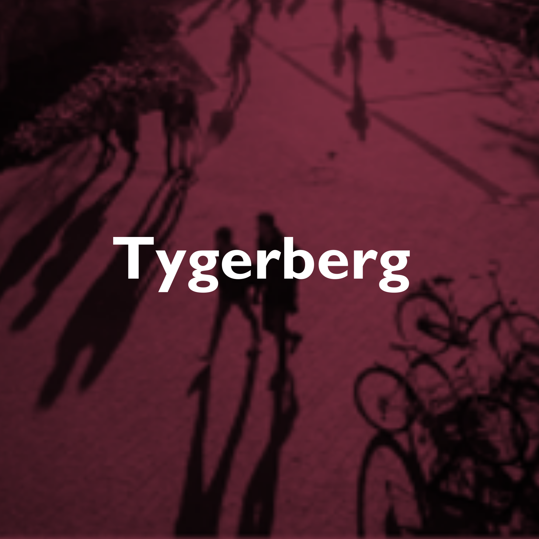 Tygerberg Elections.png