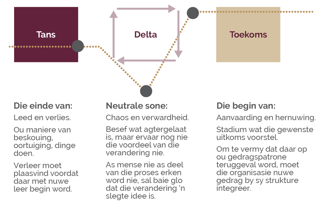 CM Web visuals__Eng1.jpg