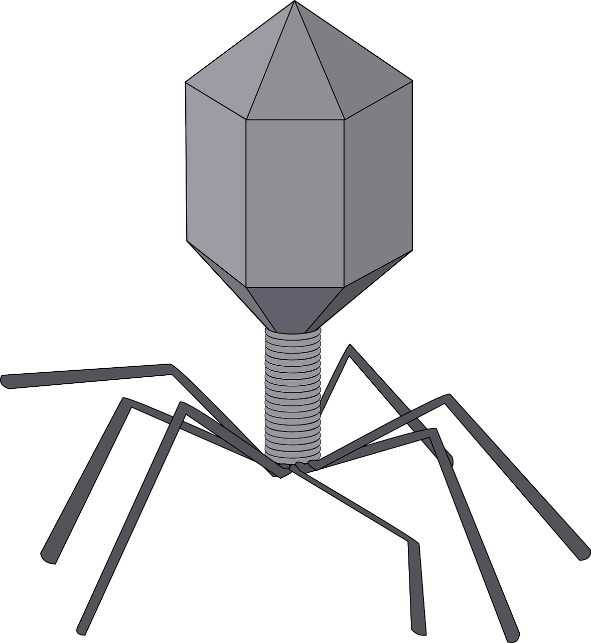 Bacteriophage.png