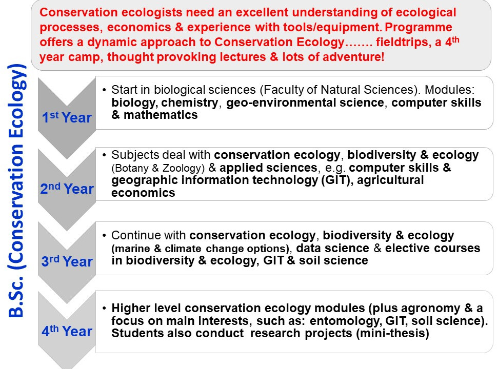 NEW undergratuate module outline 2024.jpg