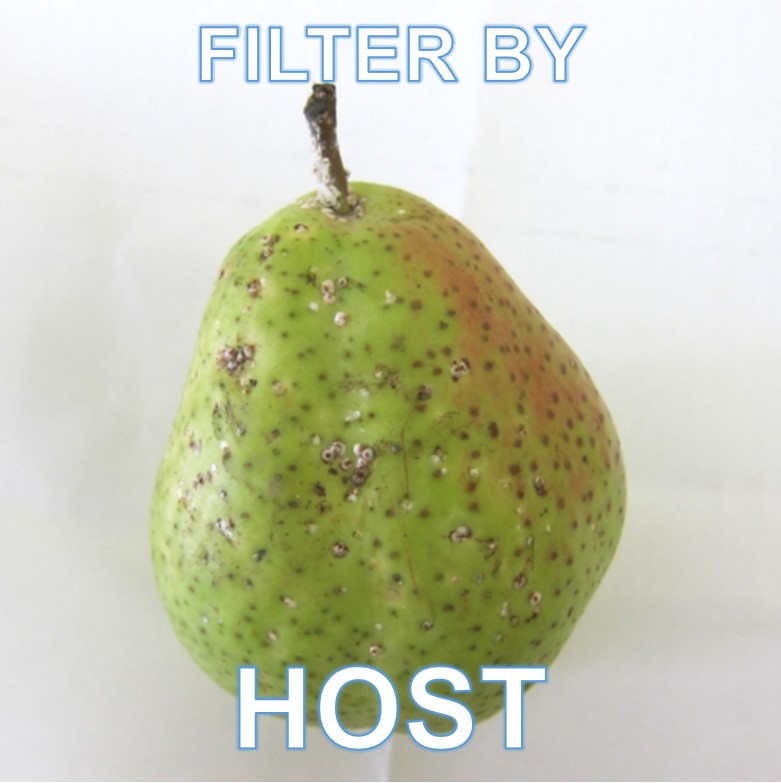 filter by host.jpg