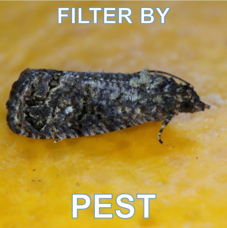 filter by pest.jpg