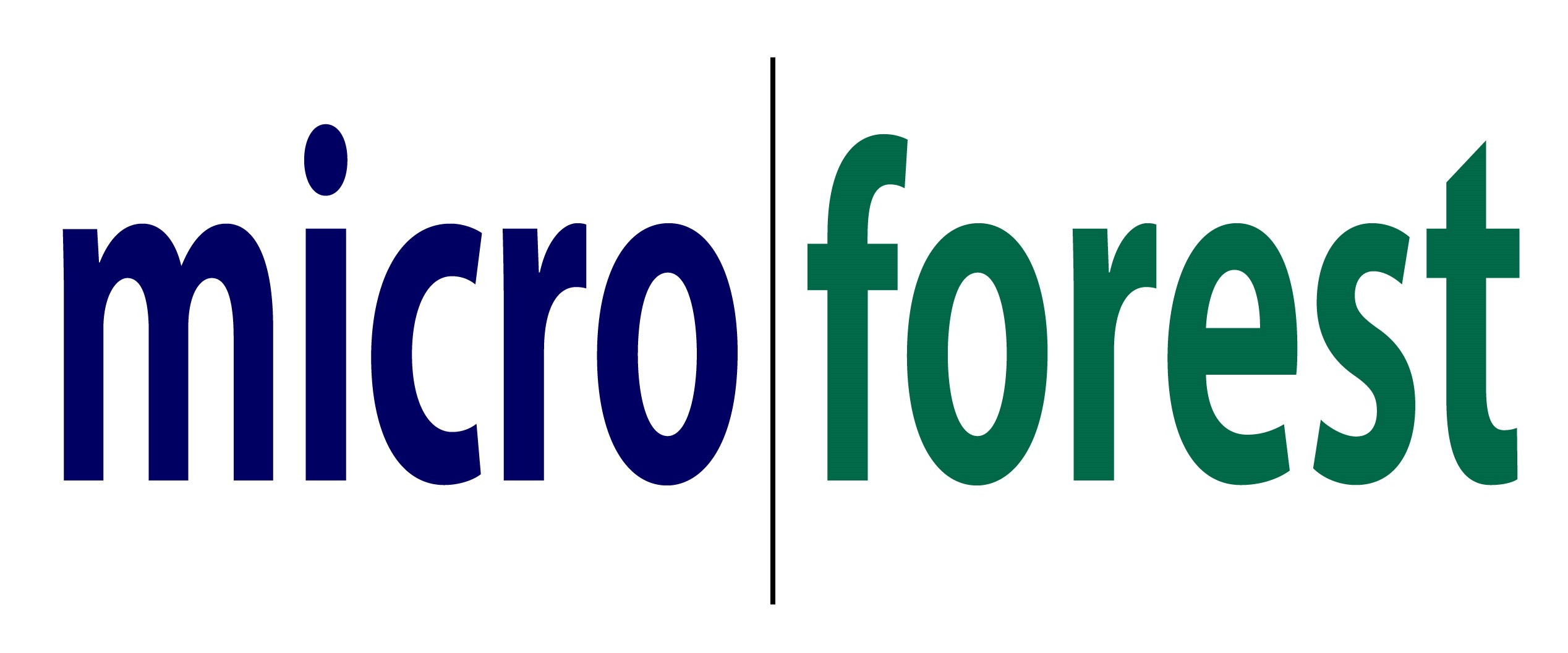 microforest large.jpg