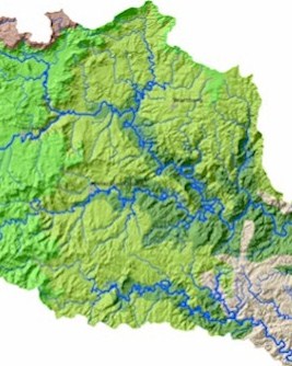 Wiese Project Small Pic.jpg