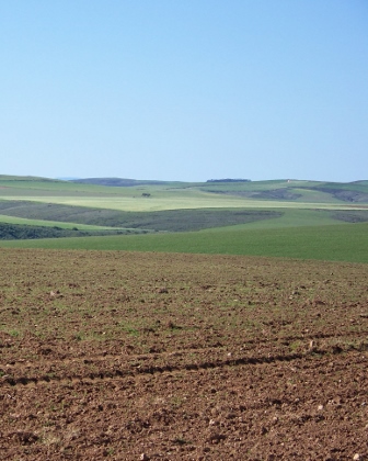 overberg small.jpg