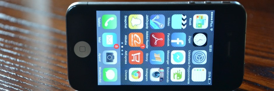 mobile dictionary.jpg