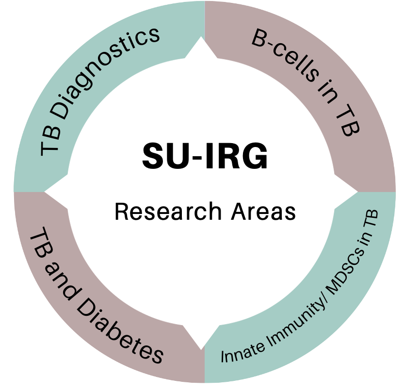 IRG_Research_Focus.png