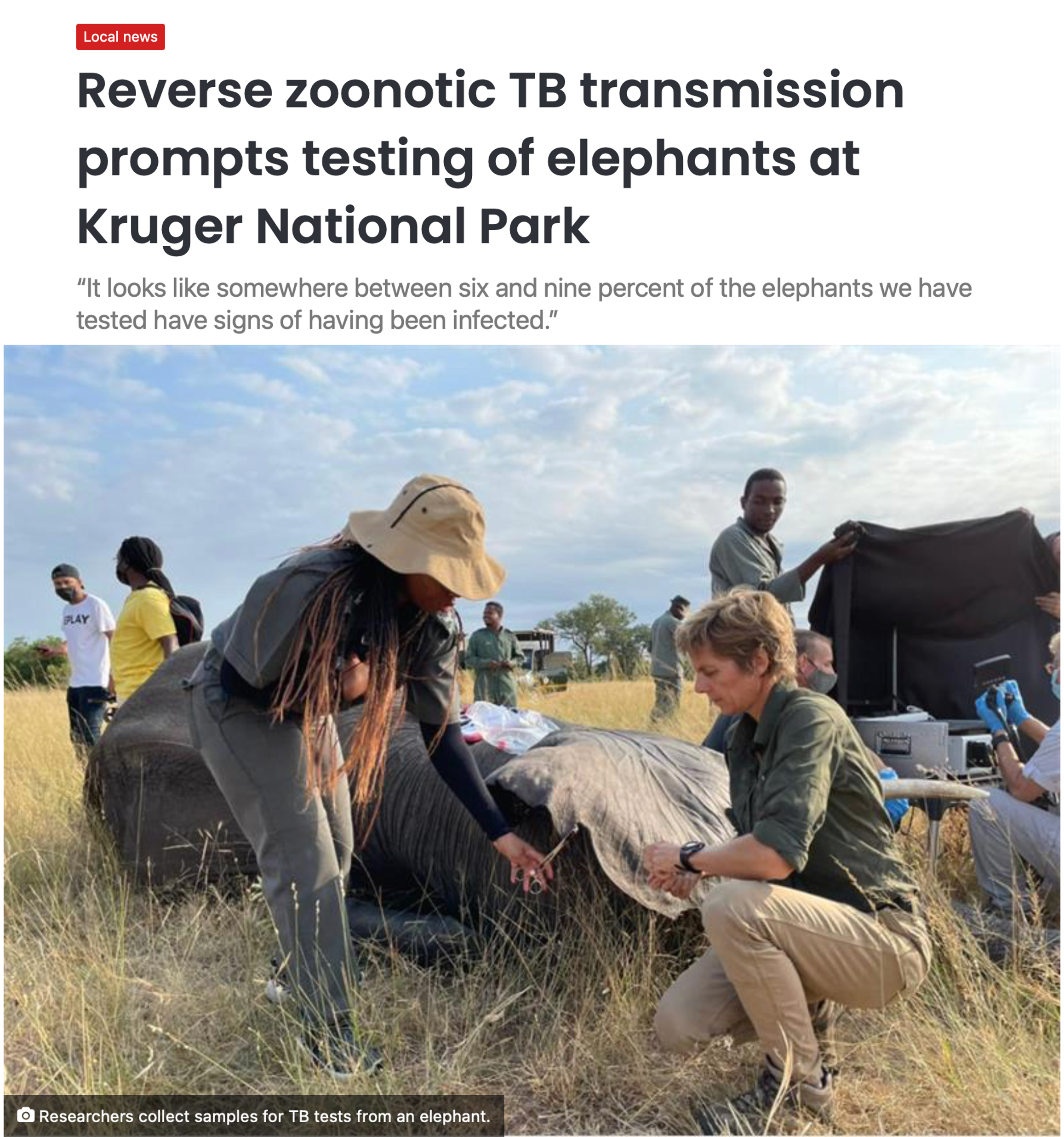 Elephant TB Kruger.png