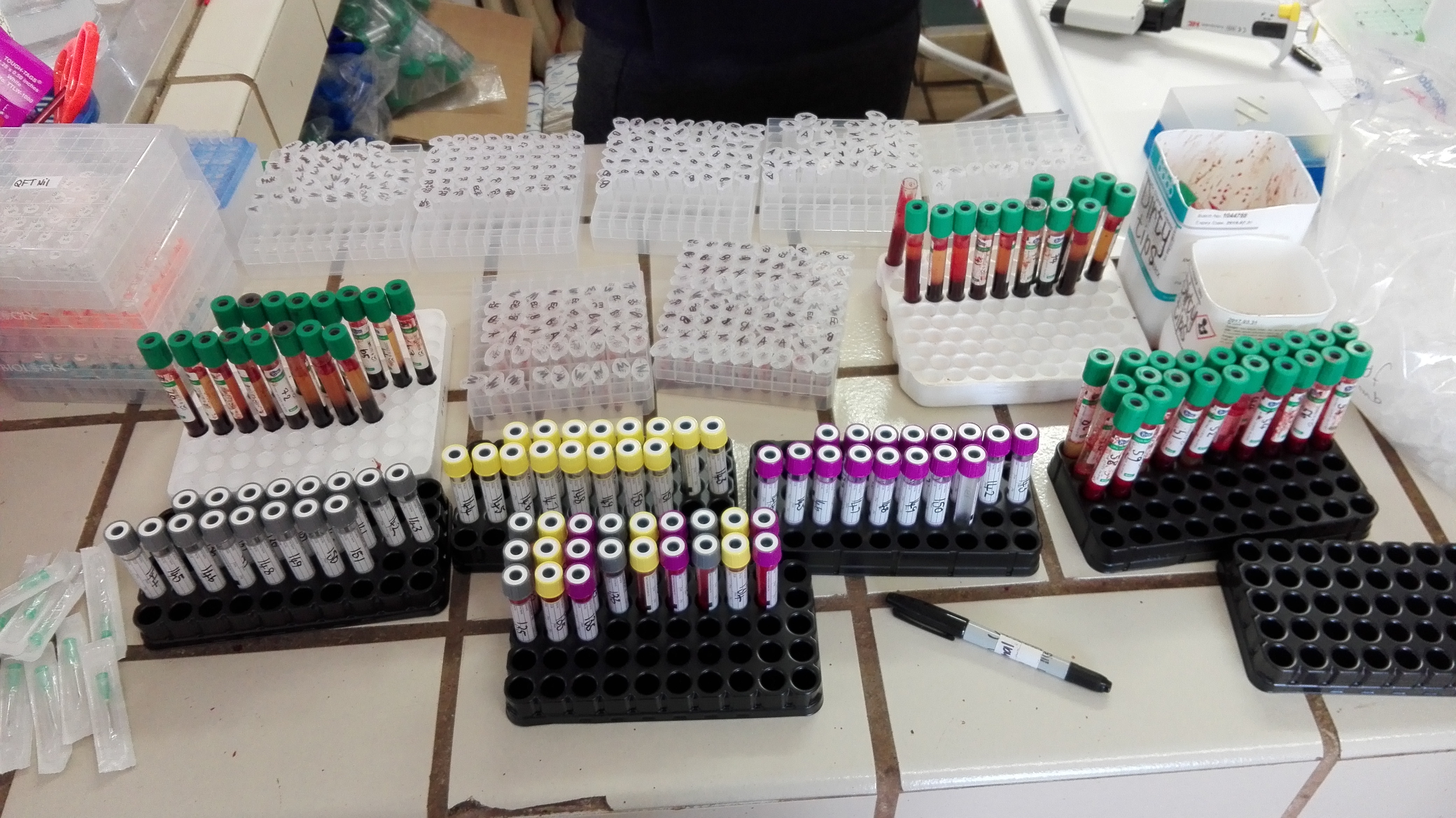 Figure 3 - Felid Study - Blood Stimulation.jpg