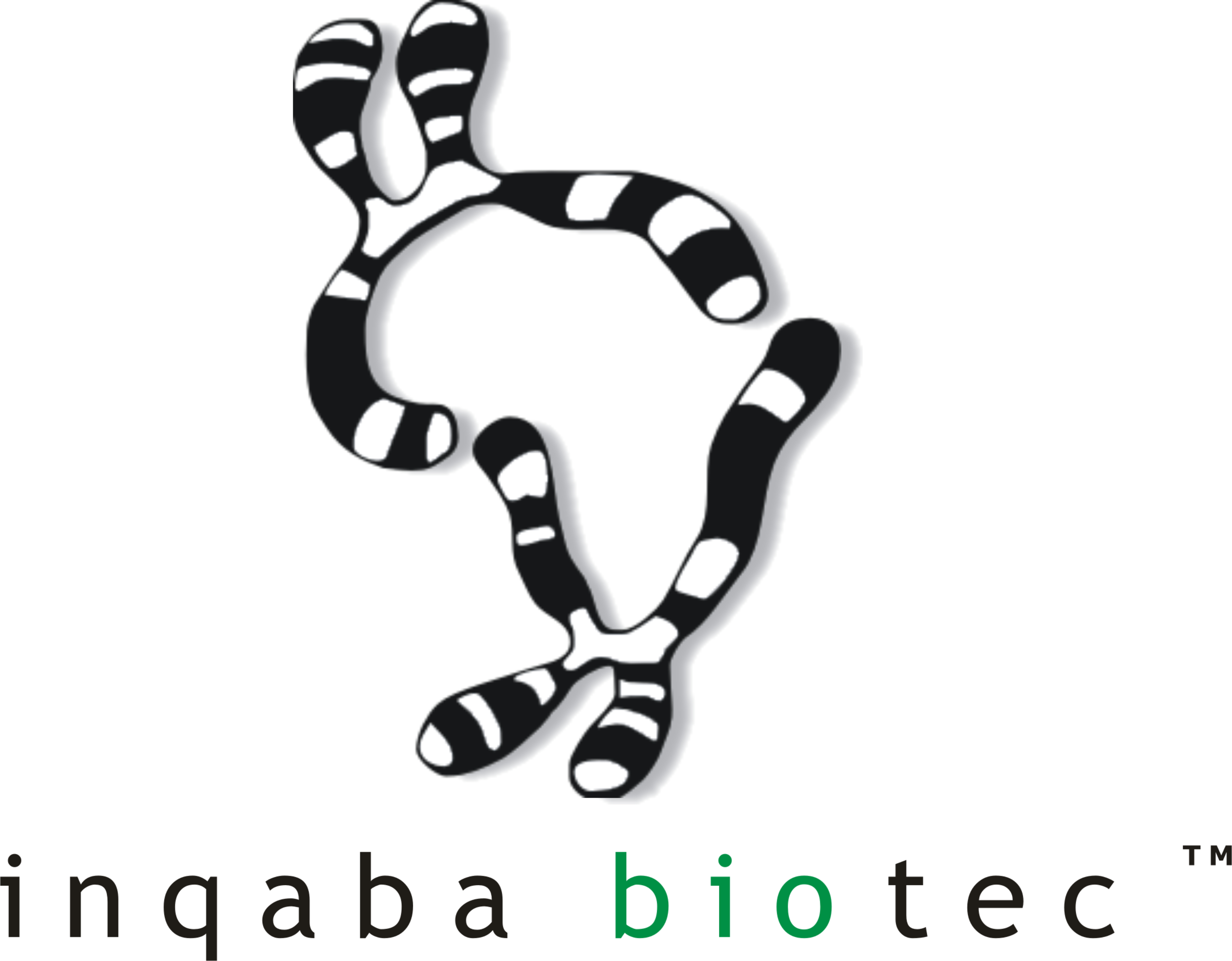 IB logo png.png