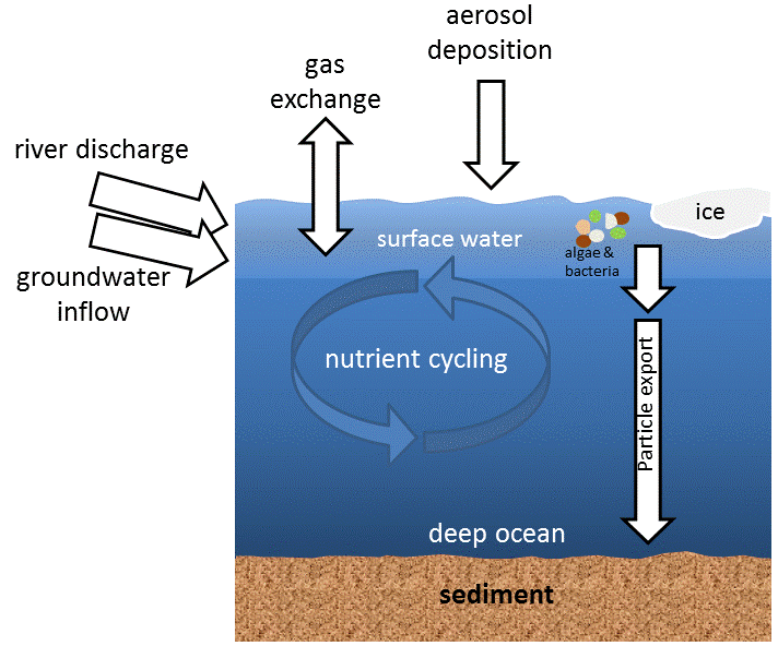 Marine Geochemistry.gif