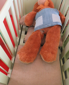 teddiebeer.png
