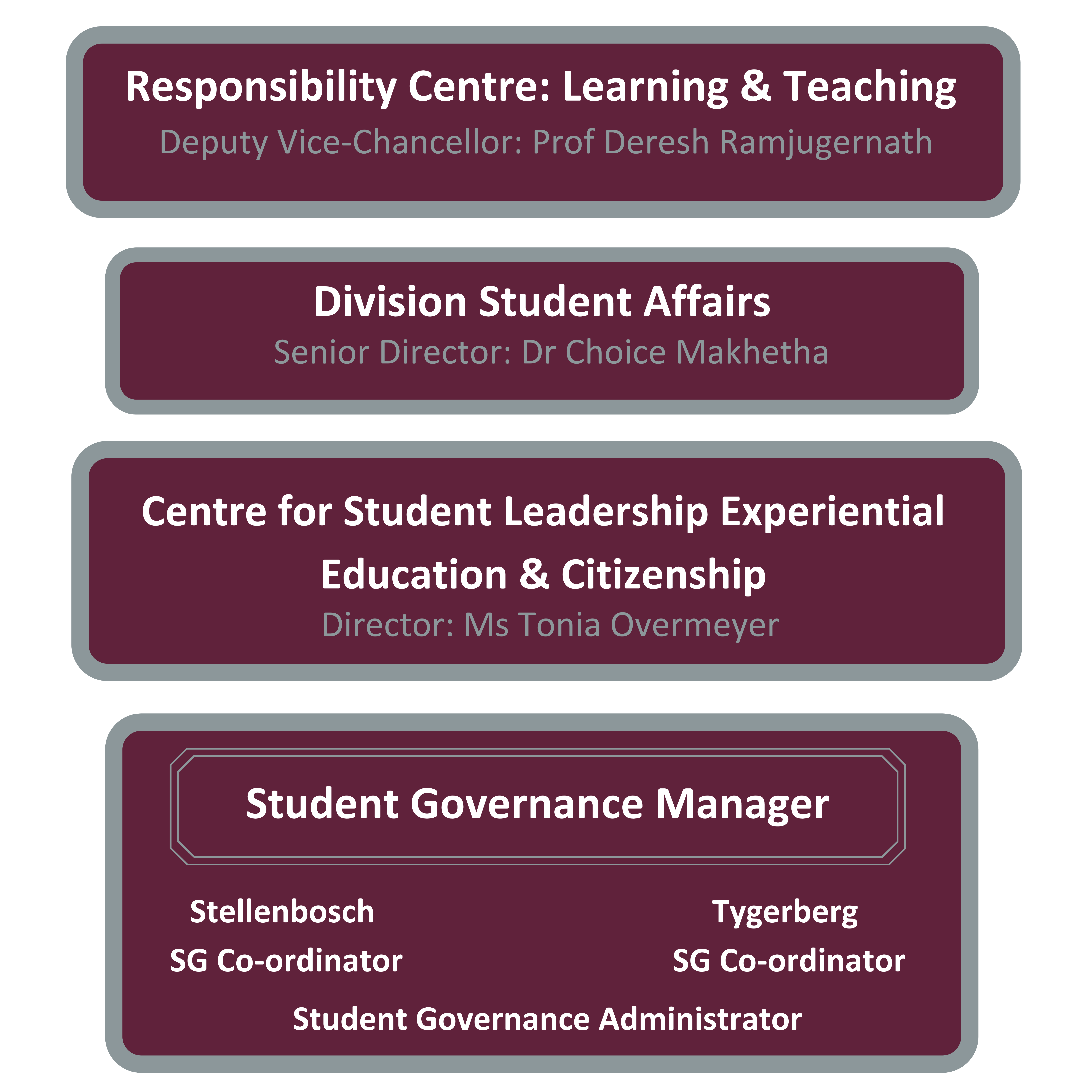 Org Structure SG 2021.png