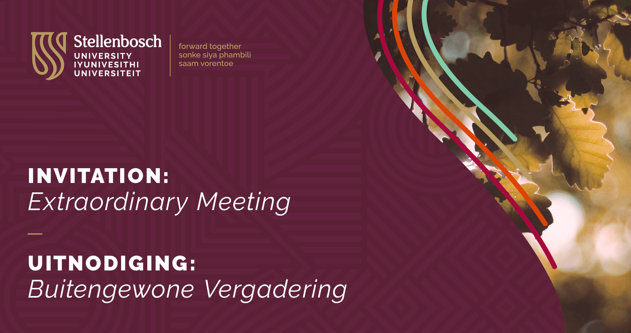 Convo23-Meeting-banner.jpg