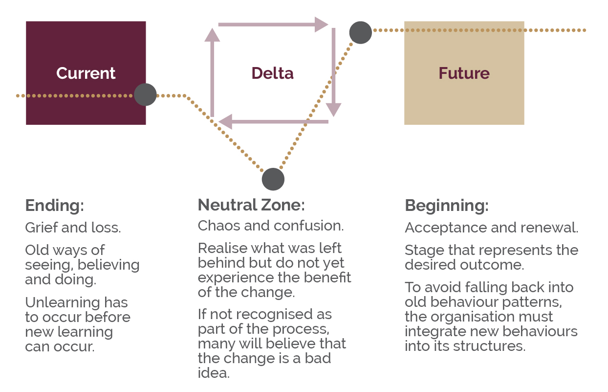 CM Web visuals__Eng1.jpg