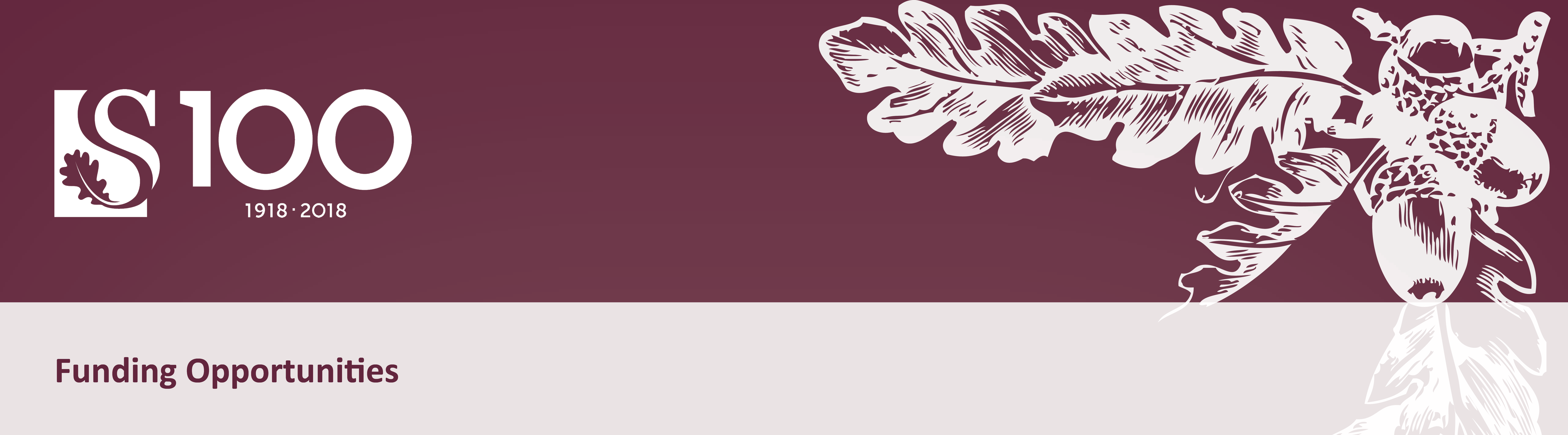 Funding Opportunities banner 2.png