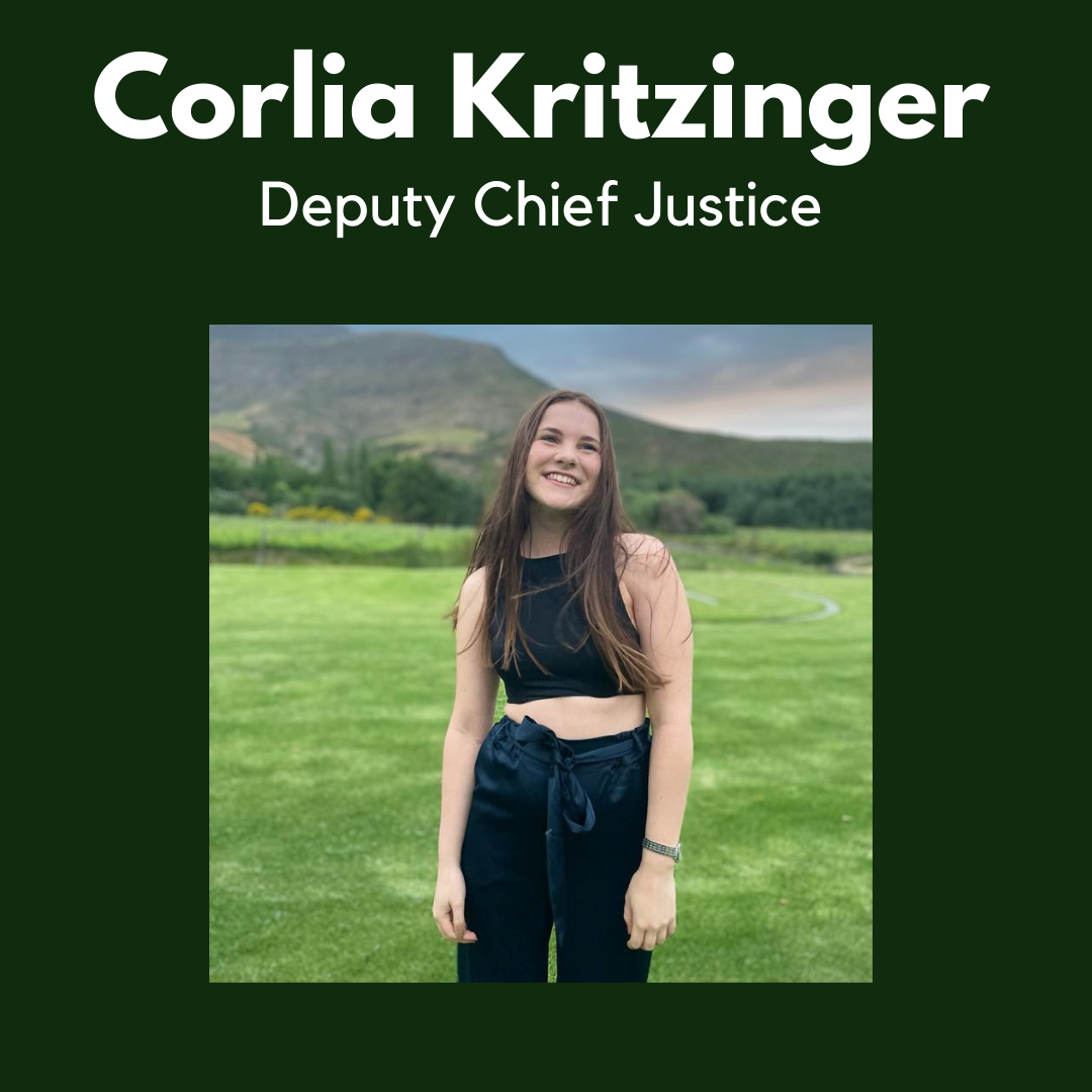 Deputy Chief Justice.png