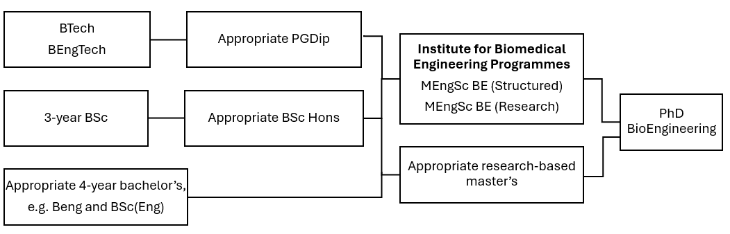 BioEng.png